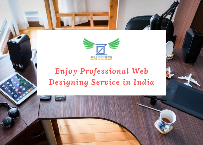 Enjoy Professional Web Designing Service in India